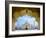 Taj Mahal exterior view, Agra, Uttar Pradesh, India-Panoramic Images-Framed Photographic Print