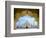 Taj Mahal exterior view, Agra, Uttar Pradesh, India-Panoramic Images-Framed Photographic Print