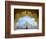 Taj Mahal exterior view, Agra, Uttar Pradesh, India-Panoramic Images-Framed Photographic Print