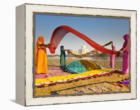 Taj Mahal, UNESCO World Heritage Site, across Yamuna River, Women Drying Colourful Saris, Agra, Utt-Gavin Hellier-Framed Premier Image Canvas