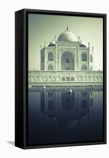 Taj Mahal, UNESCO World Heritage Site, Agra, Uttar Pradesh, India, Asia-Doug Pearson-Framed Premier Image Canvas