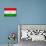 Tajikistan Flag Design with Wood Patterning - Flags of the World Series-Philippe Hugonnard-Art Print displayed on a wall