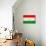 Tajikistan Flag Design with Wood Patterning - Flags of the World Series-Philippe Hugonnard-Mounted Art Print displayed on a wall