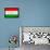 Tajikistan Flag Design with Wood Patterning - Flags of the World Series-Philippe Hugonnard-Framed Stretched Canvas displayed on a wall