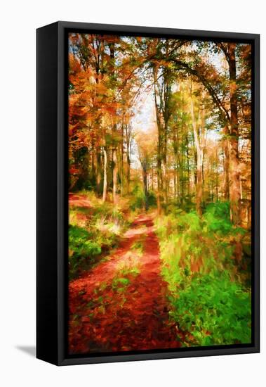 Take a Path in Autumn-Philippe Sainte-Laudy-Framed Premier Image Canvas