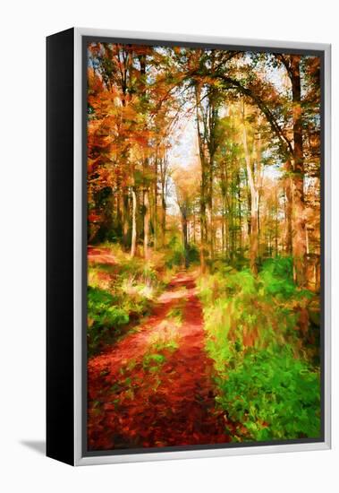 Take a Path in Autumn-Philippe Sainte-Laudy-Framed Premier Image Canvas
