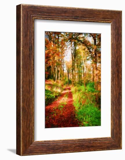 Take a Path in Autumn-Philippe Sainte-Laudy-Framed Photographic Print