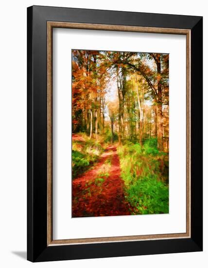 Take a Path in Autumn-Philippe Sainte-Laudy-Framed Photographic Print