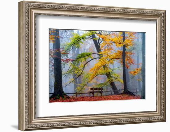 Take A Seat And Enjoy-Lars Van de Goor-Framed Photographic Print