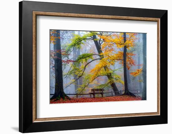 Take A Seat And Enjoy-Lars Van de Goor-Framed Photographic Print