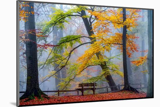 Take A Seat And Enjoy-Lars Van de Goor-Mounted Photographic Print