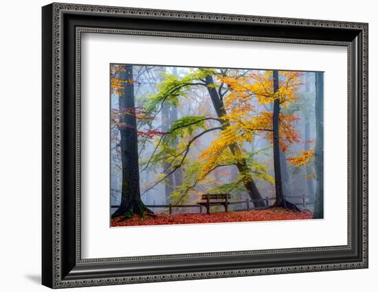 Take A Seat And Enjoy-Lars Van de Goor-Framed Photographic Print