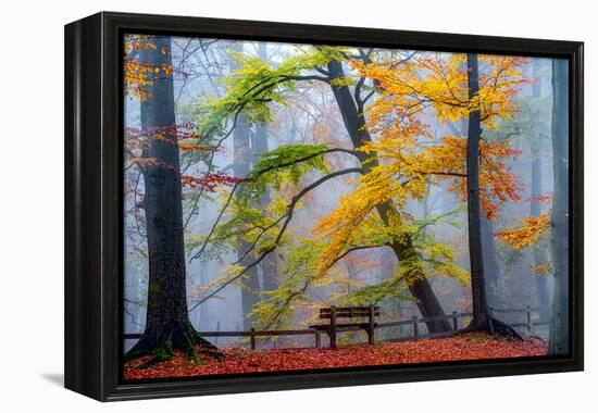 Take A Seat And Enjoy-Lars Van de Goor-Framed Premier Image Canvas