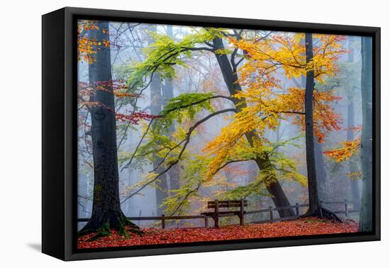 Take A Seat And Enjoy-Lars Van de Goor-Framed Premier Image Canvas