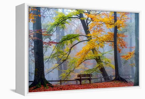 Take A Seat And Enjoy-Lars Van de Goor-Framed Premier Image Canvas