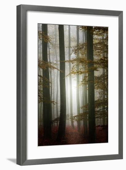 Take a walk-Philippe Sainte-Laudy-Framed Photographic Print