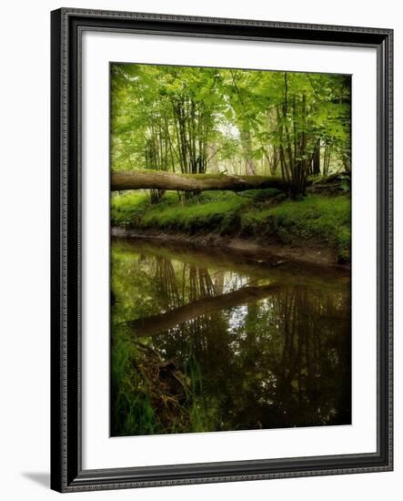 Take Away My Sadness-Tim Kahane-Framed Photographic Print