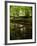 Take Away My Sadness-Tim Kahane-Framed Photographic Print