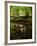 Take Away My Sadness-Tim Kahane-Framed Photographic Print