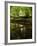 Take Away My Sadness-Tim Kahane-Framed Photographic Print