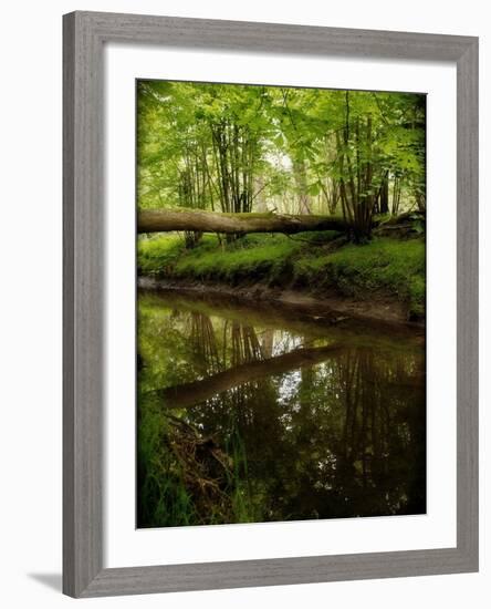 Take Away My Sadness-Tim Kahane-Framed Photographic Print