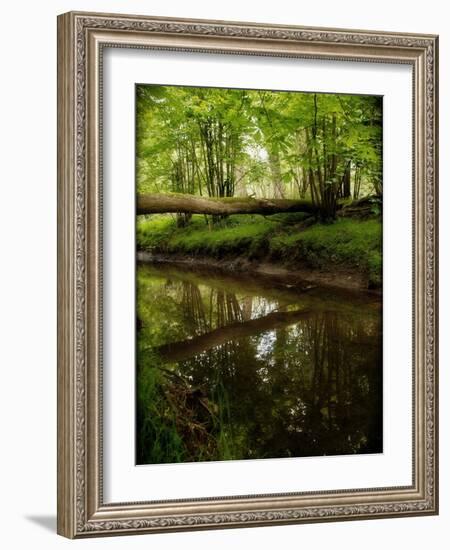 Take Away My Sadness-Tim Kahane-Framed Photographic Print