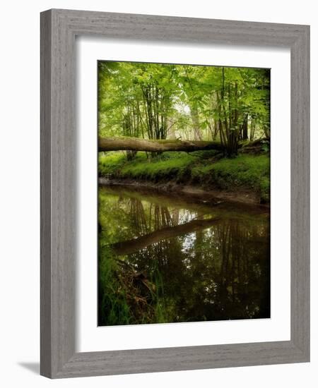 Take Away My Sadness-Tim Kahane-Framed Photographic Print