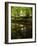 Take Away My Sadness-Tim Kahane-Framed Photographic Print