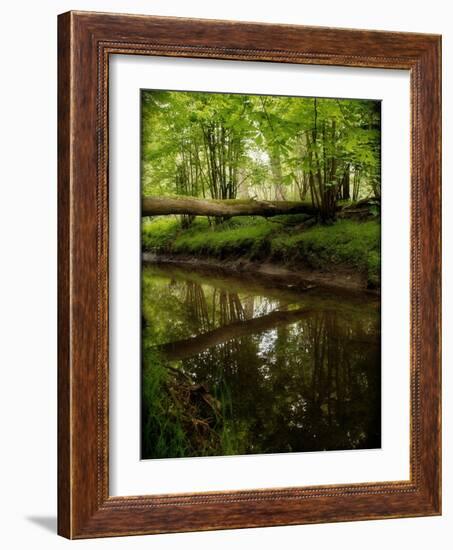 Take Away My Sadness-Tim Kahane-Framed Photographic Print