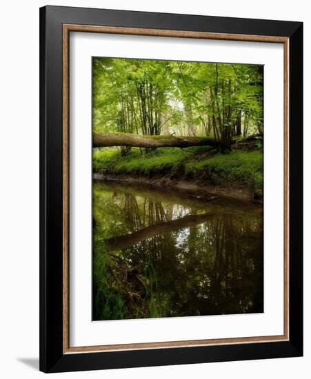 Take Away My Sadness-Tim Kahane-Framed Photographic Print