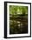 Take Away My Sadness-Tim Kahane-Framed Photographic Print