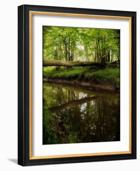 Take Away My Sadness-Tim Kahane-Framed Photographic Print