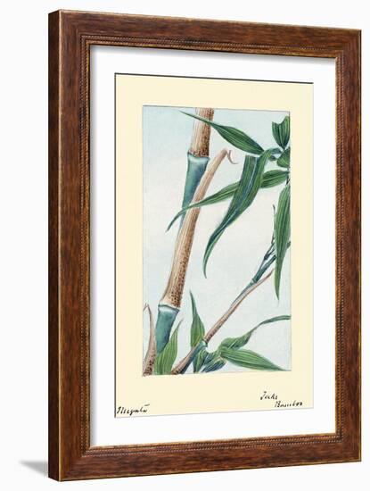 Take Bamboo-Megata Morikaga-Framed Art Print