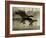 Take Flight-Tania Bello-Framed Giclee Print