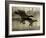 Take Flight-Tania Bello-Framed Giclee Print