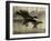 Take Flight-Tania Bello-Framed Giclee Print