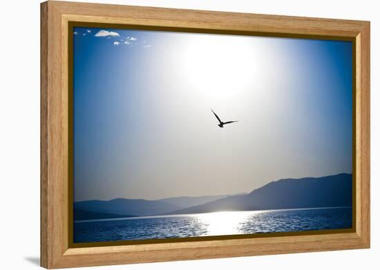 Take Flight-Erin Berzel-Framed Premier Image Canvas