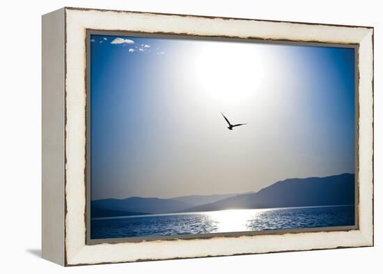 Take Flight-Erin Berzel-Framed Premier Image Canvas