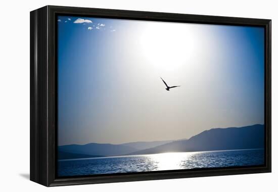 Take Flight-Erin Berzel-Framed Premier Image Canvas