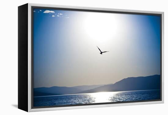 Take Flight-Erin Berzel-Framed Premier Image Canvas