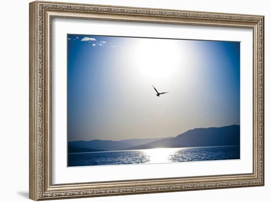 Take Flight-Erin Berzel-Framed Photographic Print