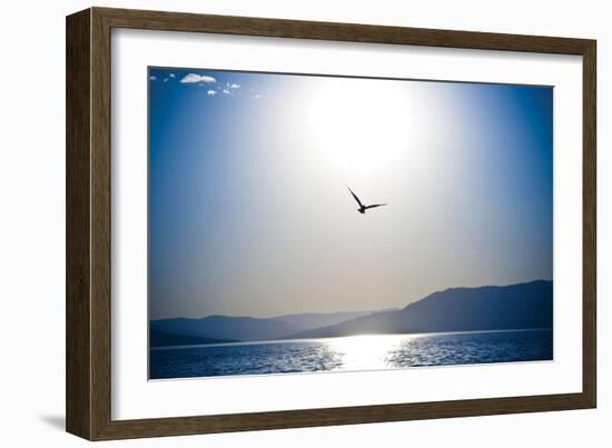 Take Flight-Erin Berzel-Framed Photographic Print