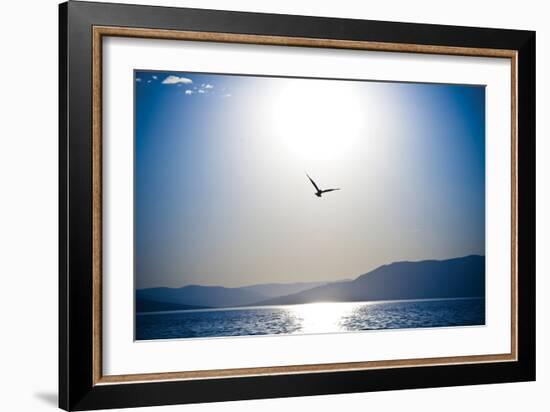 Take Flight-Erin Berzel-Framed Photographic Print