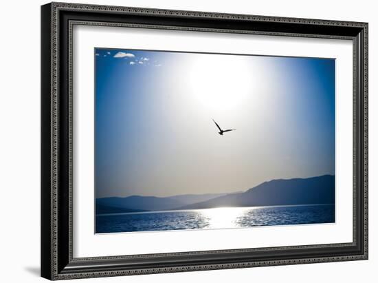 Take Flight-Erin Berzel-Framed Photographic Print