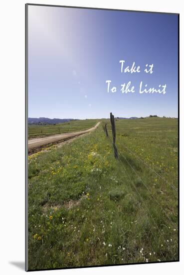 Take it to the Limit-Amanda Lee Smith-Mounted Photographic Print