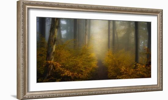 Take me for a Walk-Norbert Maier-Framed Photographic Print