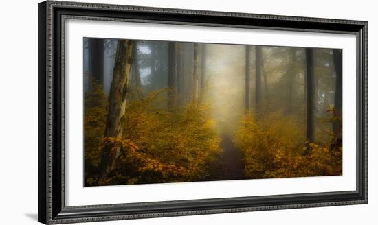 Take me for a Walk-Norbert Maier-Framed Photographic Print