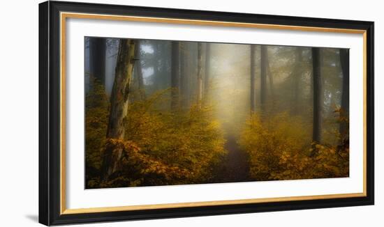 Take me for a Walk-Norbert Maier-Framed Photographic Print