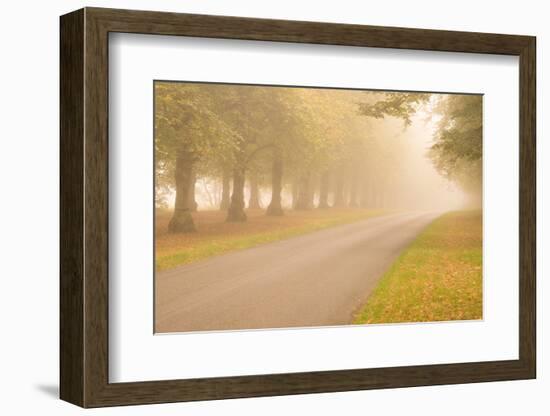 Take Me Home-Doug Chinnery-Framed Photographic Print