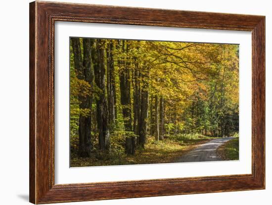 Take Me Home-Brenda Petrella Photography LLC-Framed Giclee Print